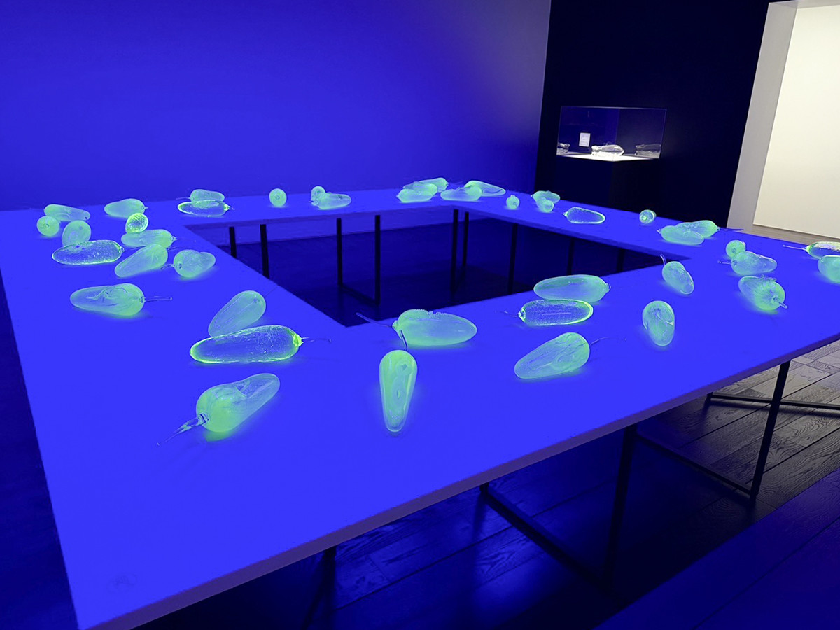 アーティゾン美術館「彼女たちのアボリジナル・アート オーストラリア現代美術」会場