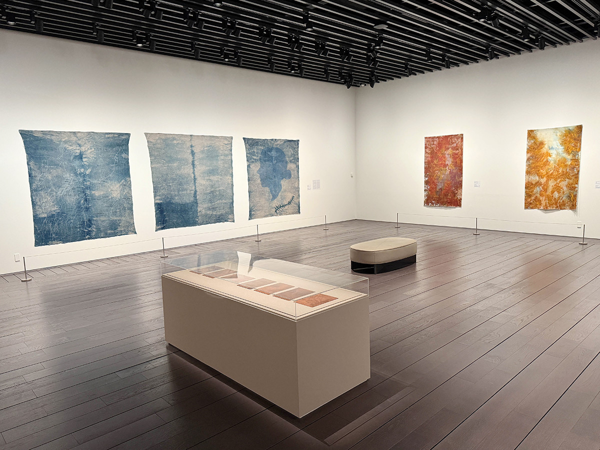 アーティゾン美術館「彼女たちのアボリジナル・アート　オーストラリア現代美術」会場より　ジュディ・ワトソン（Judy Watson 1959-）の作品　© Judy Watson