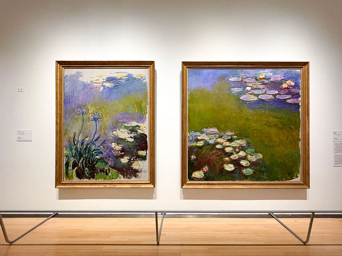 左から　《アガパンサス》1914-1917頃、《睡蓮》1914-1917頃　どちらもマルモッタン・モネ美術館、パリ