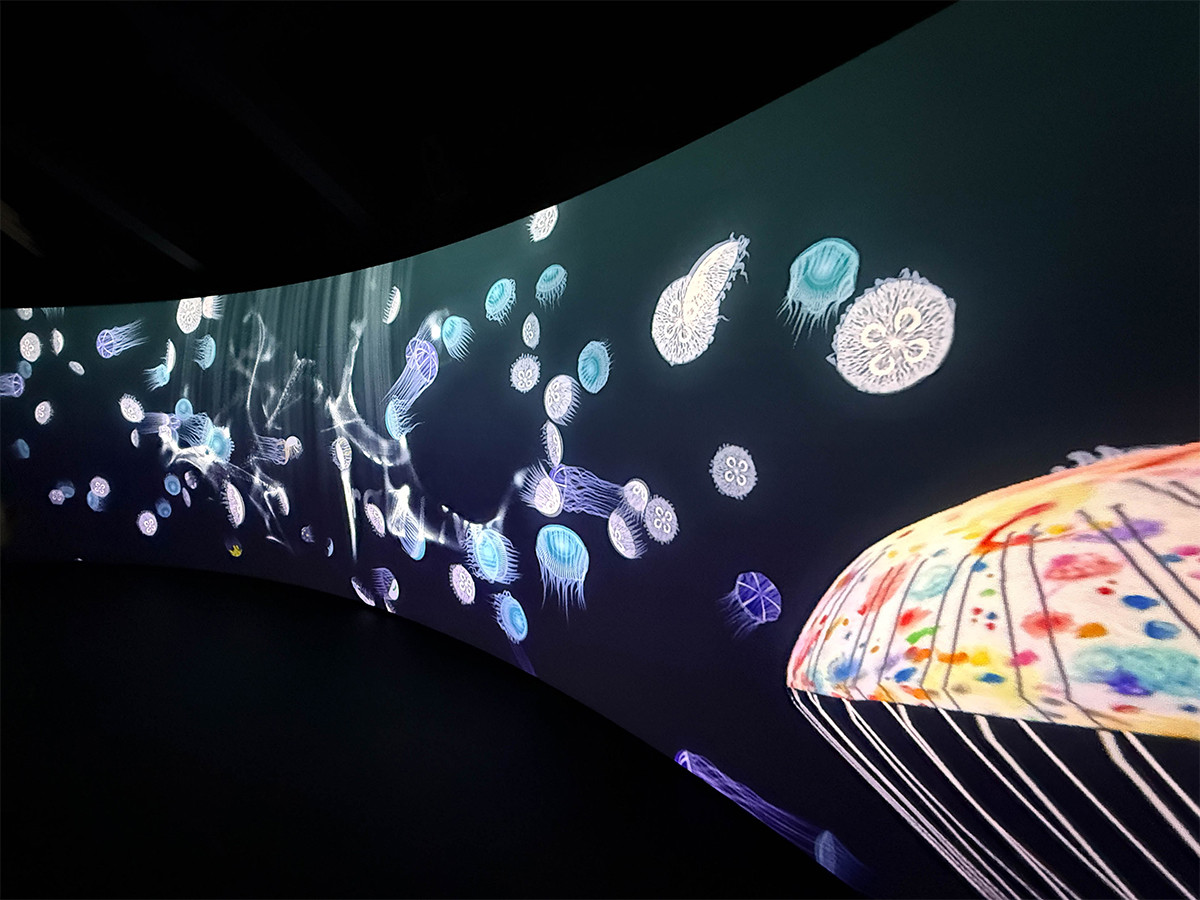 いのちの遊び場クラゲ館／中島さち子