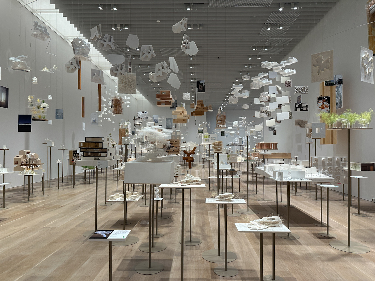 森美術館「藤本壮介の建築:原初・未来・森」