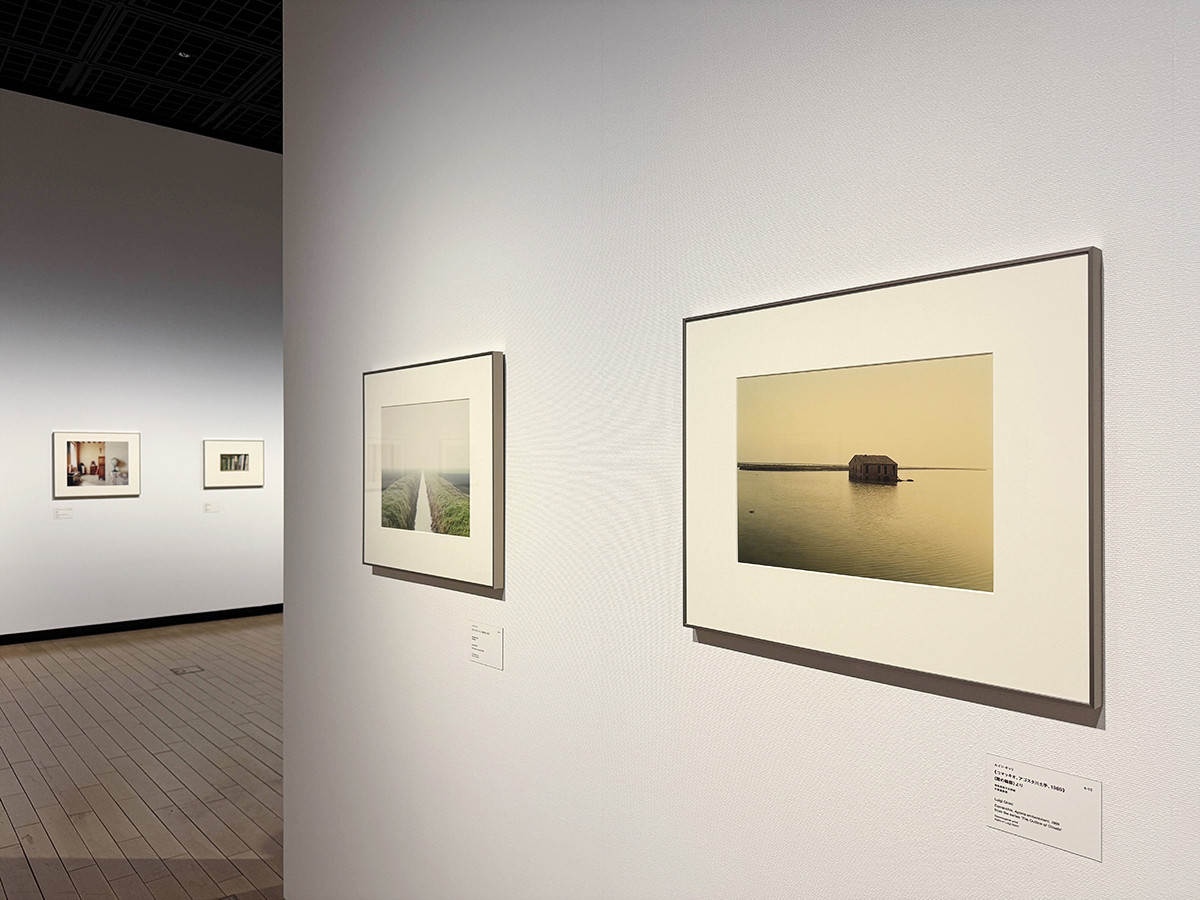 「ルイジ・ギッリ 終わらない風景」会場