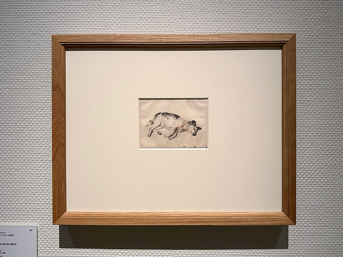 国立西洋美術館「スウェーデン国立美術館 素描コレクション展―ルネサンスからバロックまで」よりコルネリス・フィッセル《眠る犬》