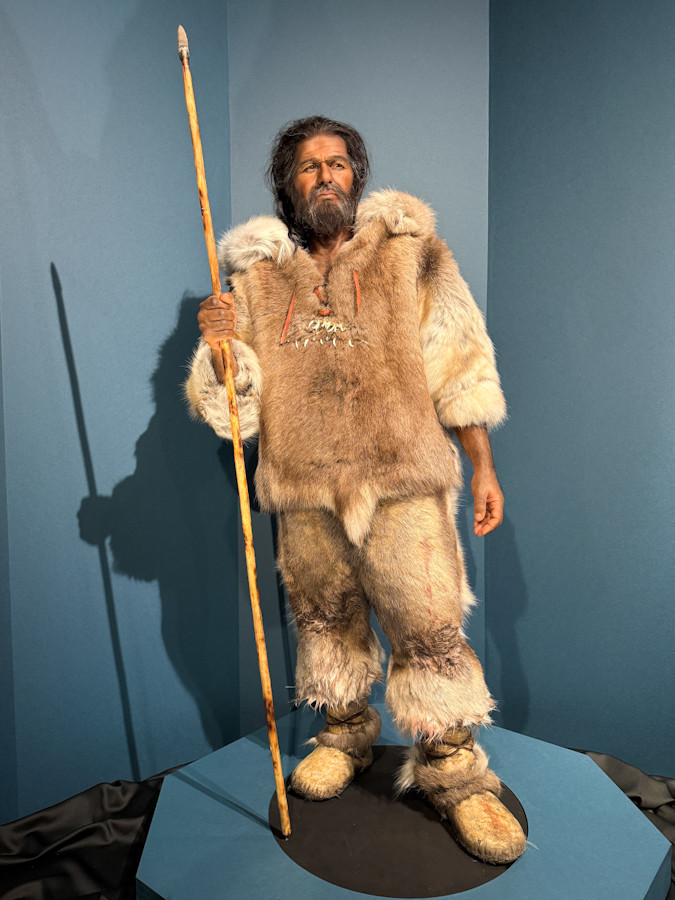 国立科学博物館「氷河期展 〜人類が見た4万年前の世界〜」会場