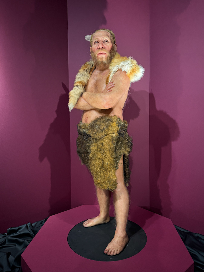 国立科学博物館「氷河期展 〜人類が見た4万年前の世界〜」会場