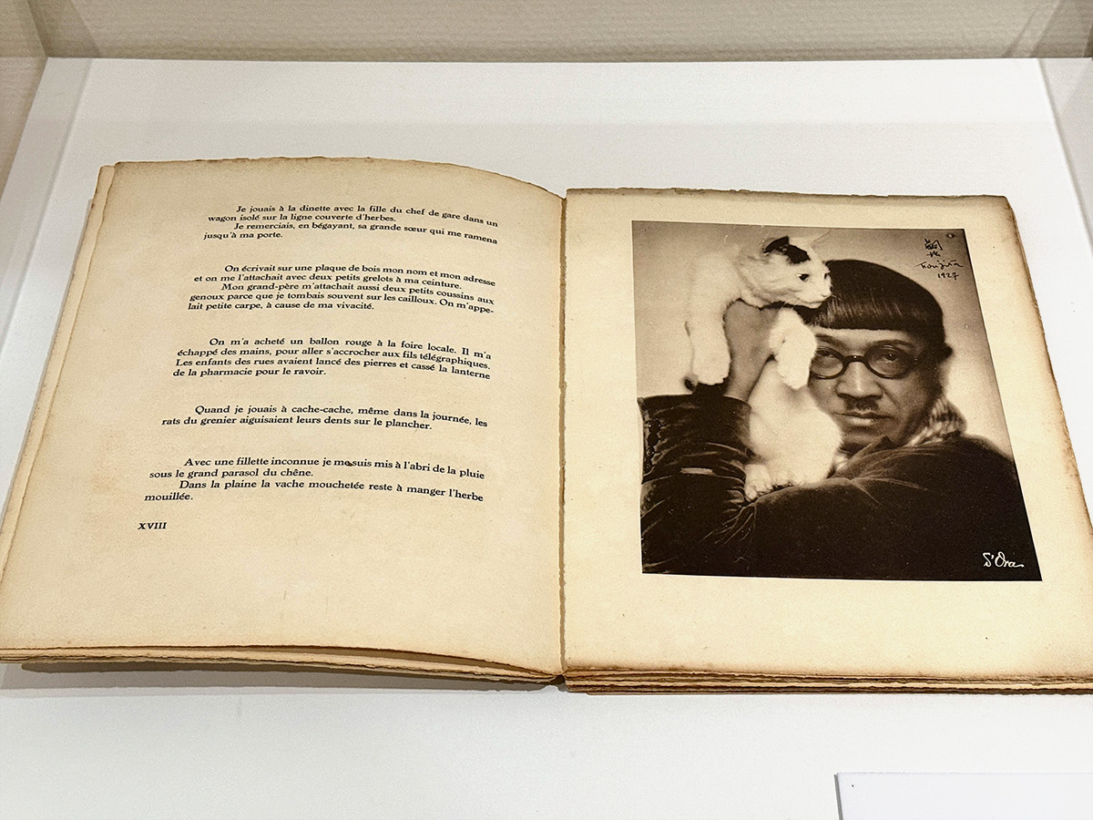 カメラとカンヴァスのあいだに ― 「藤田嗣治　絵画と写真」（レポート）