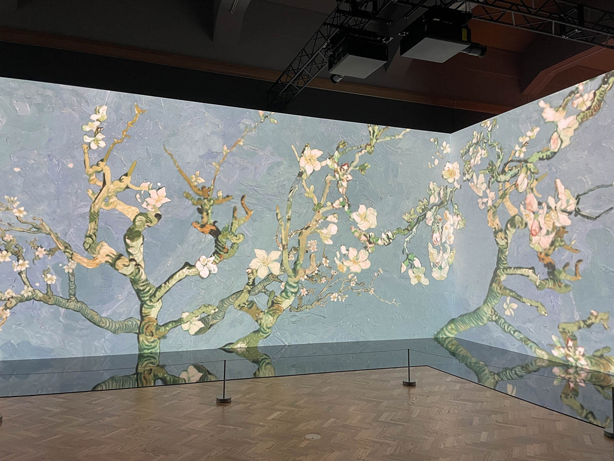 大阪市立美術館「ゴッホ展 家族がつないだ画家の夢」会場より　イマーシブ・コーナーは幅14メートル超え