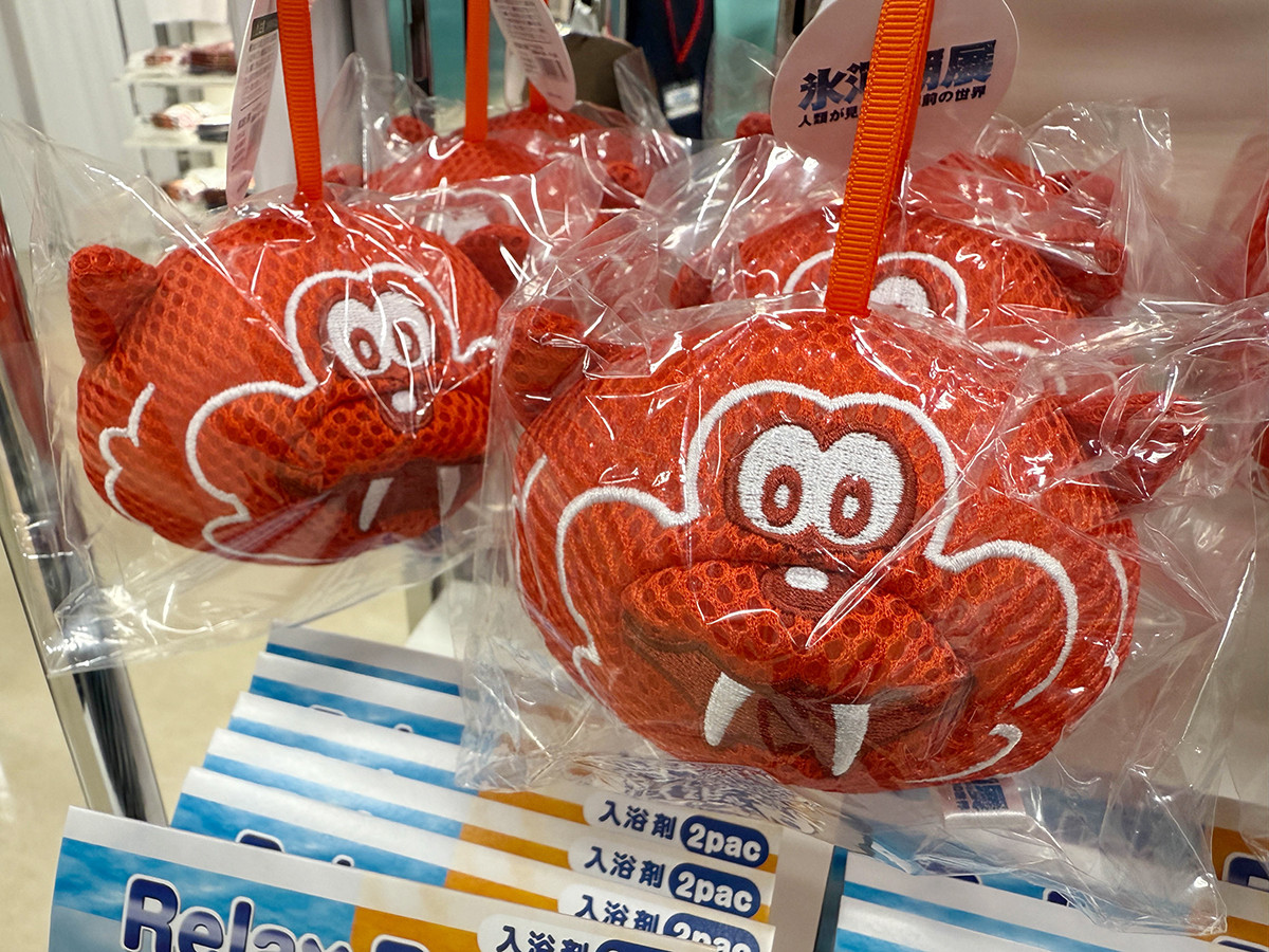 お風呂スポンジ