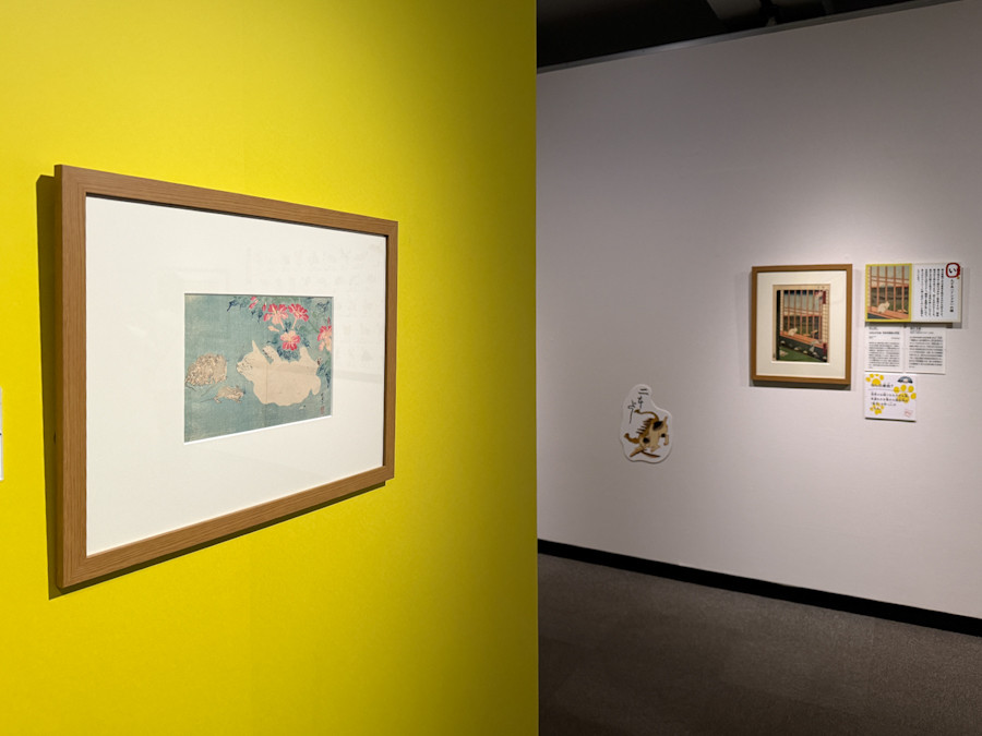 そごう美術館「Ukiyo-e 猫百科 ごろごろまるまるネコづくし」会場