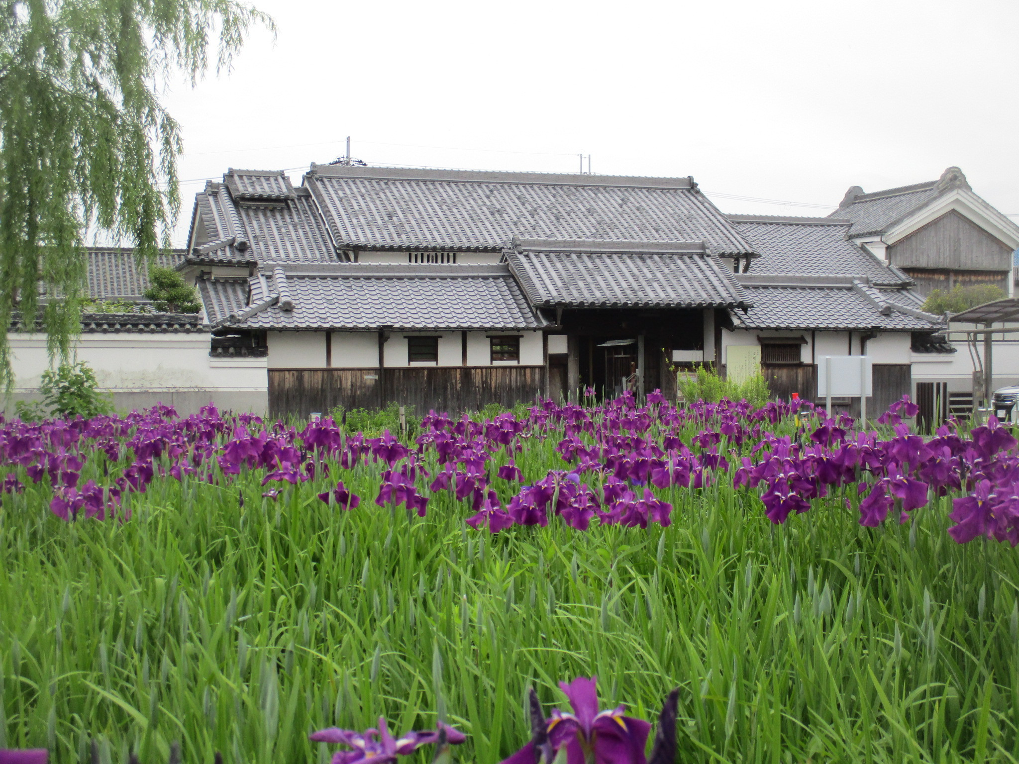 安堵のくらし100年―写真・スケッチでたどる地域の歩み―