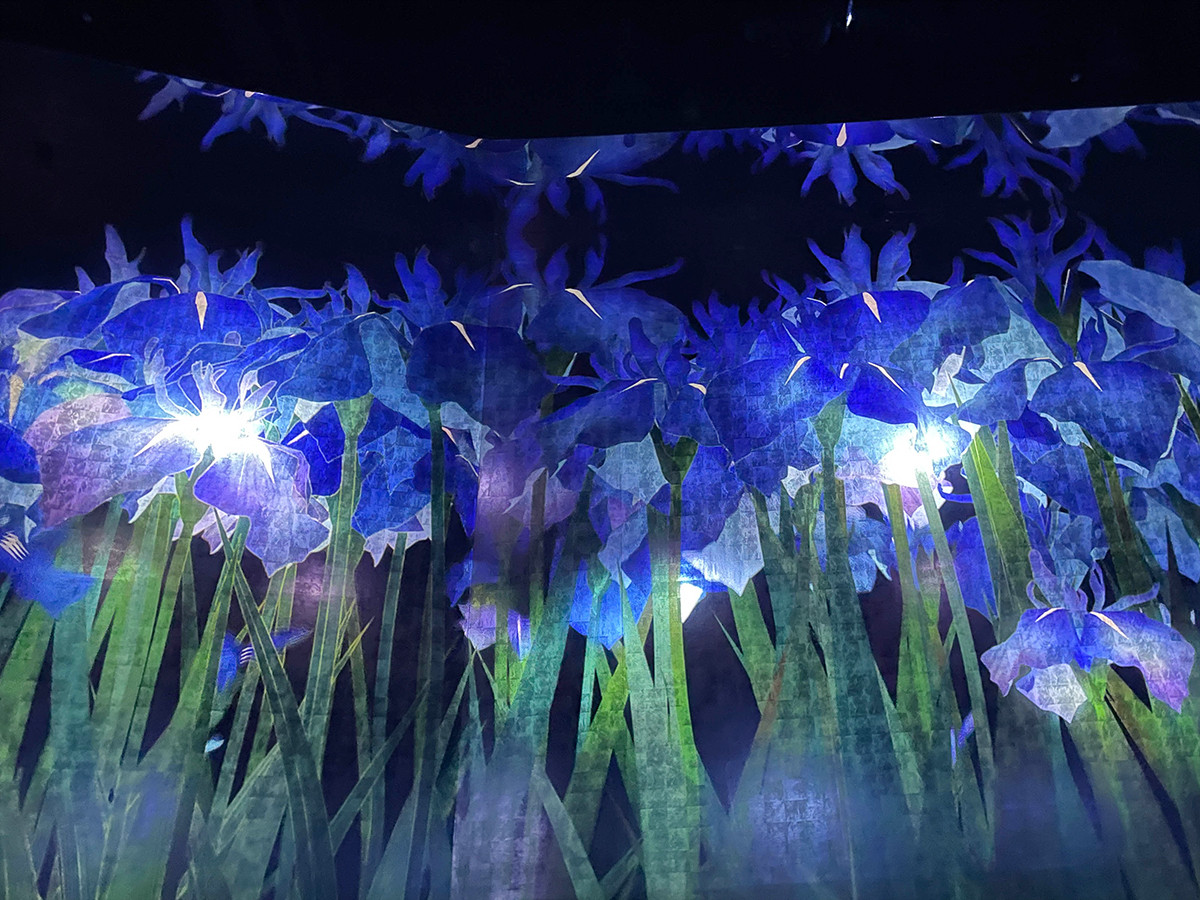 チームラボ バイオヴォルテックス 京都」展示風景