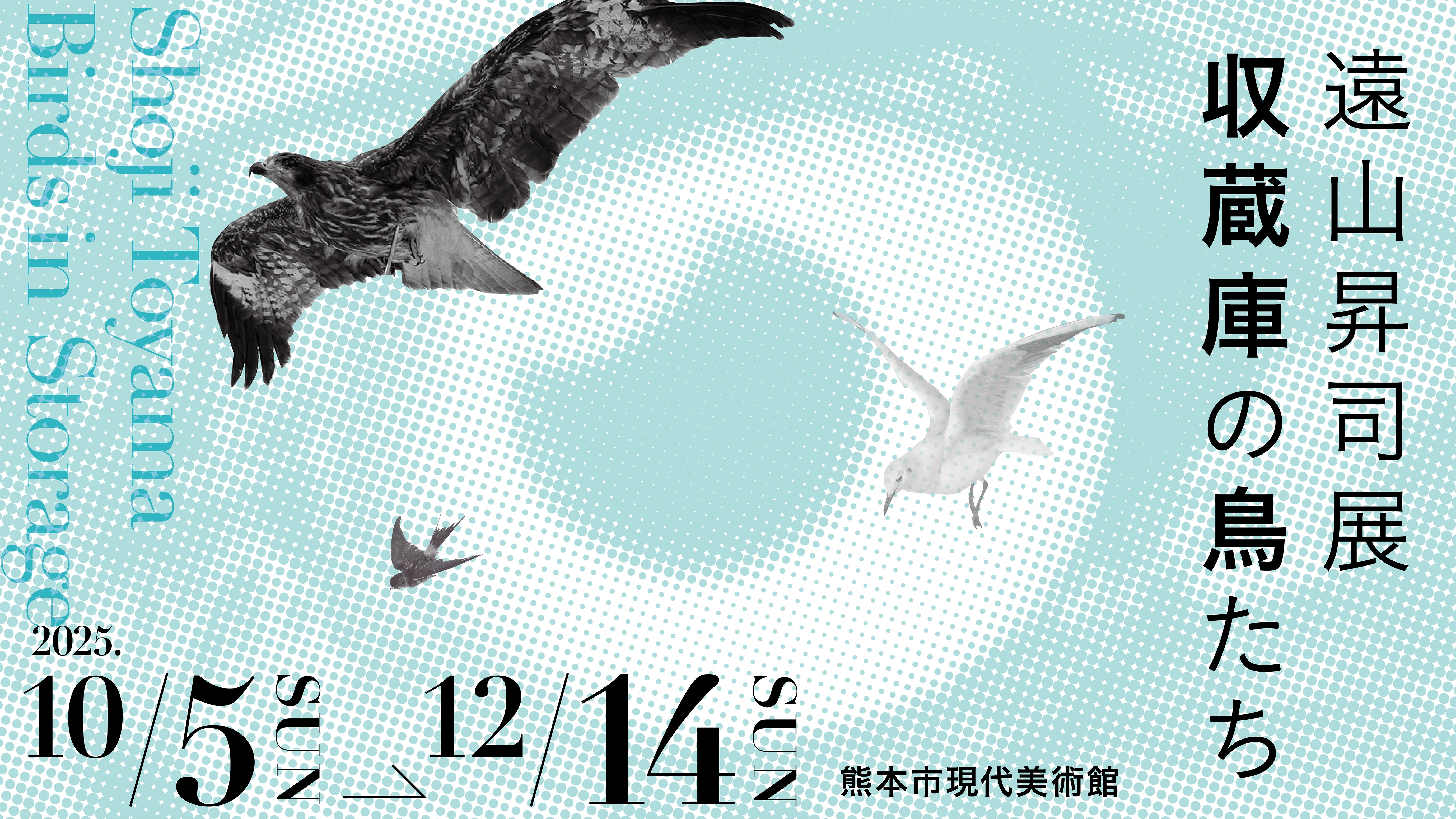 遠山昇司 収蔵庫の鳥たち