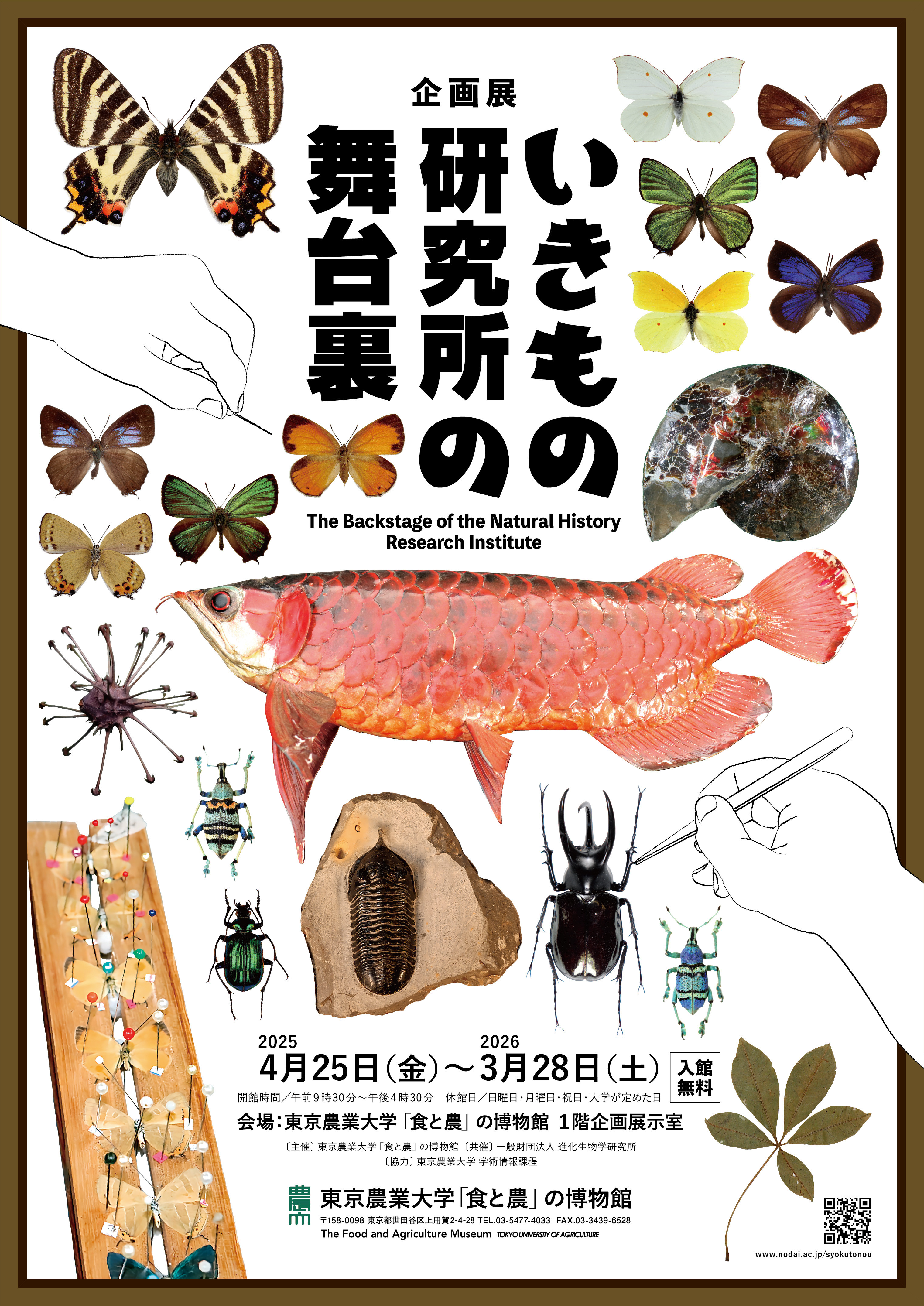 企画展「いきもの研究所の舞台裏」