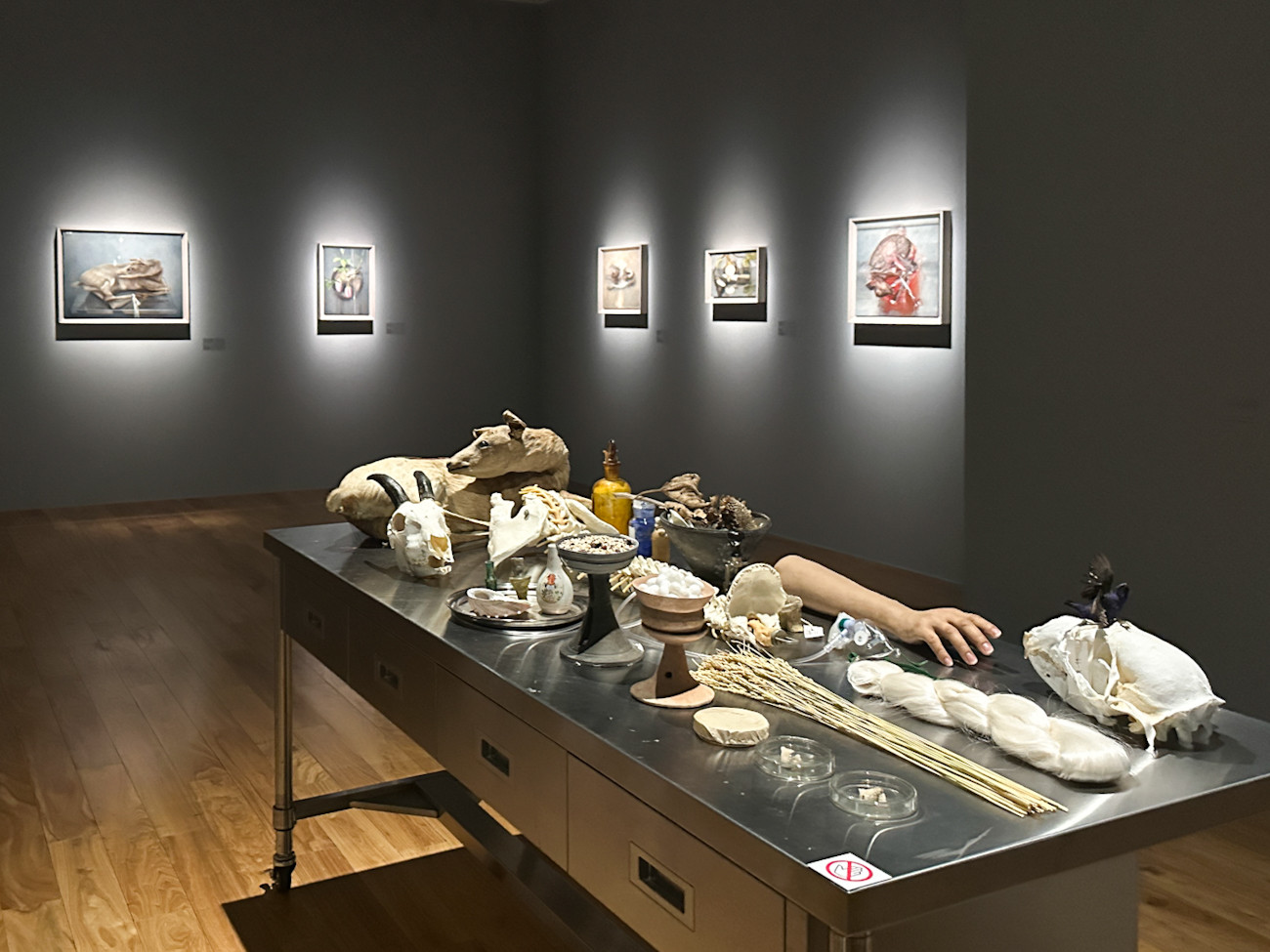 WHAT MUSEUM「諏訪敦|きみはうつくしい」