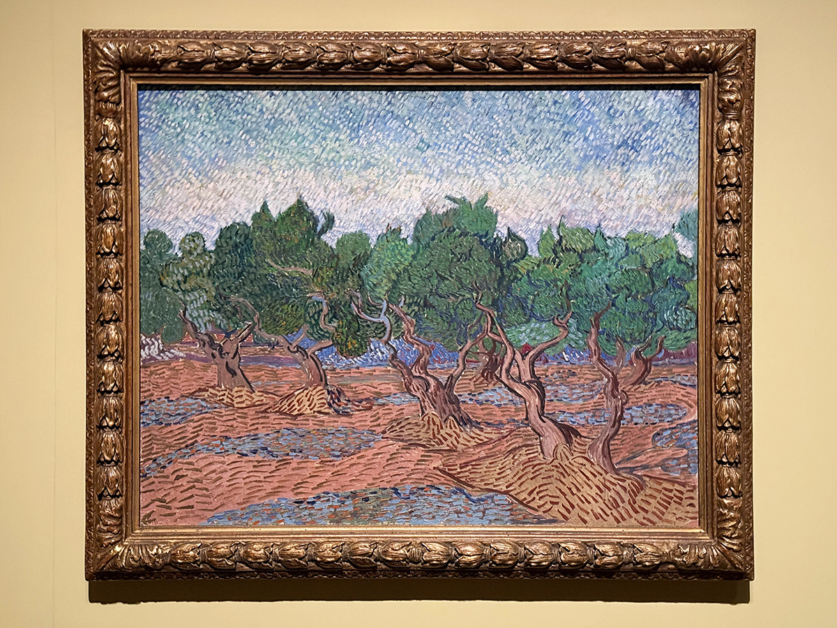 東京都美術館「ゴッホ展　家族がつないだ画家の夢」会場より　フィンセント・ファン・ゴッホ《オリーブ園》1889年11月　ファン・ゴッホ美術館、アムステルダム（フィンセント・ファン・ゴッホ財団）
