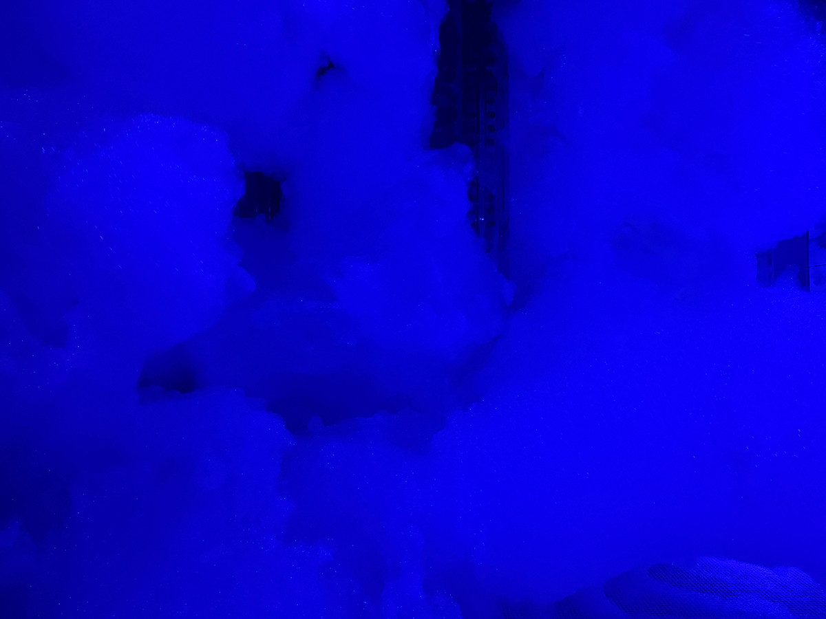 チームラボ バイオヴォルテックス 京都 会場