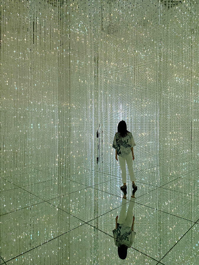 チームラボ バイオヴォルテックス 京都 会場