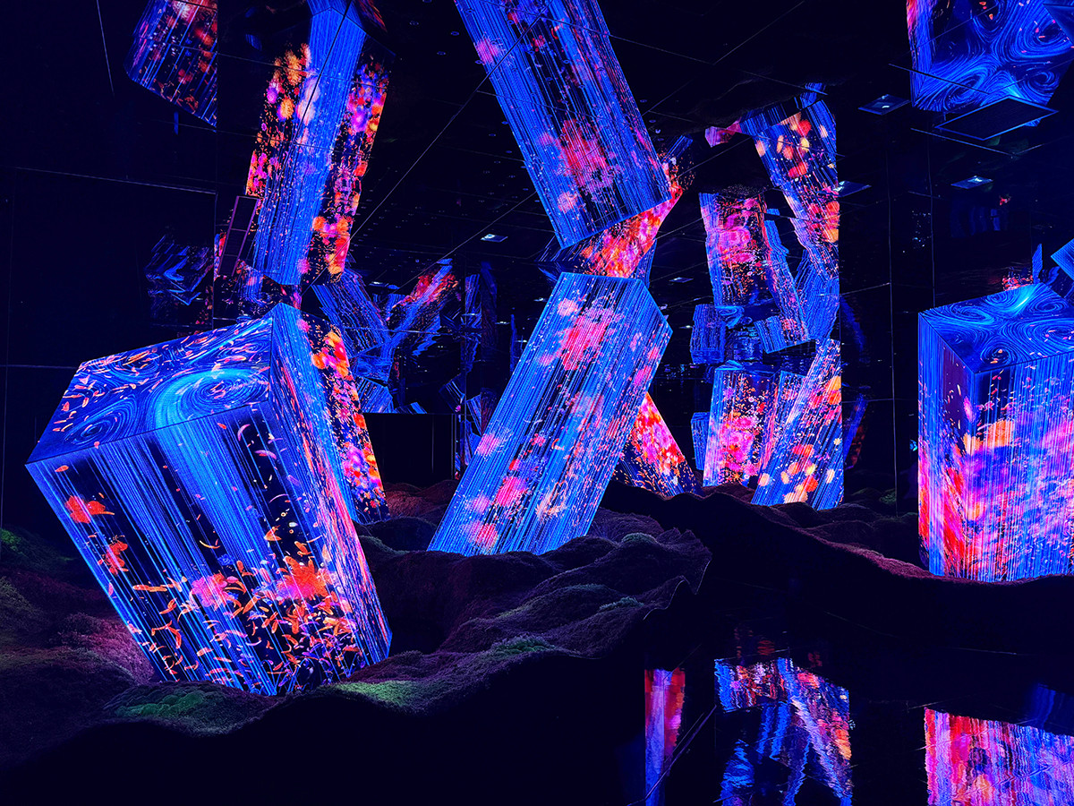 チームラボ バイオヴォルテックス 京都 会場