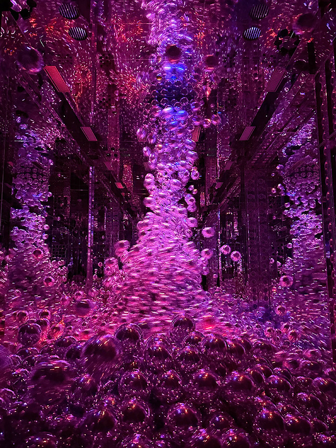 チームラボ バイオヴォルテックス 京都 会場