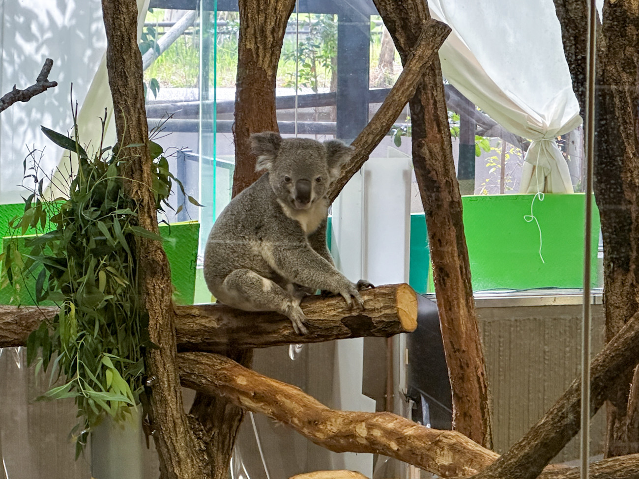 「ミュージアム キャラクター アワード 2025」グランプリ受賞式 横浜市立金沢動物園