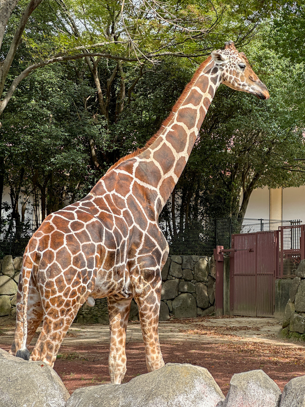 「ミュージアム キャラクター アワード 2025」グランプリ受賞式 横浜市立金沢動物園