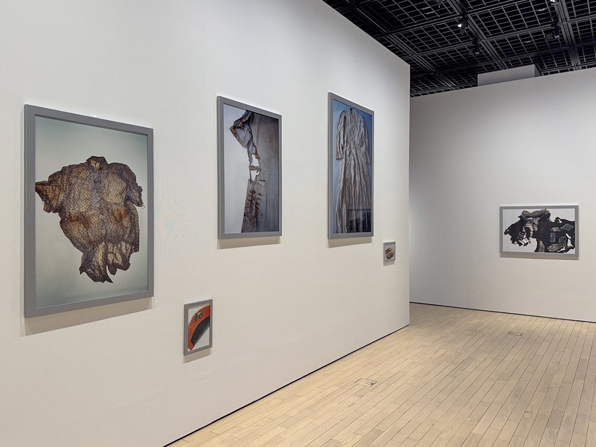 東京都写真美術館「総合開館30周年記念 作家の現在 これまでとこれから」会場