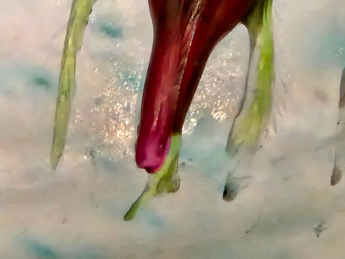 みらい美術館「ガラスと陶芸の美　エミール・ガレ展」