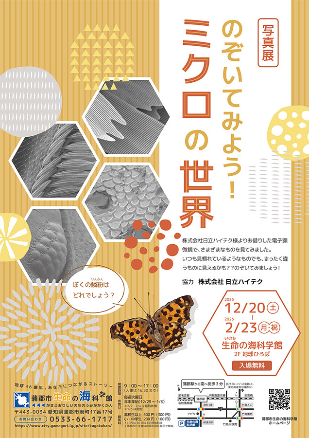 のぞいてみよう！ミクロの世界