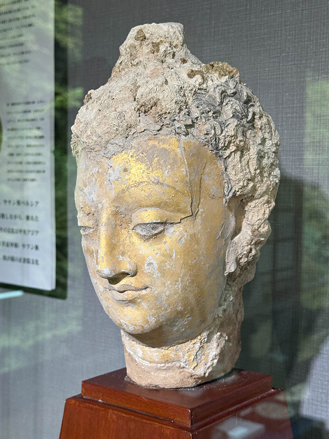 浜名梱包輸送 シルクロード・ミュージアム「シルクロードのコイン美術とその周辺」会場より 《金箔押し仏陀頭部》アフガニスタン 4〜5世紀