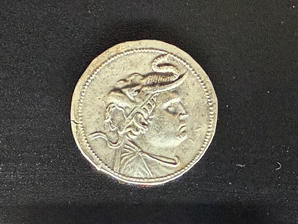 コインに刻まれた神と王 ― 「シルクロードのコイン美術とその周辺」（レポート） | レポート | アイエム［インターネットミュージアム］