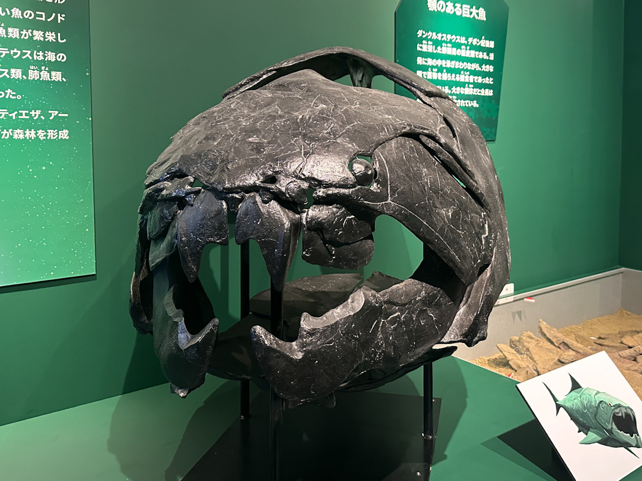 国立科学博物館「大絶滅展」会場