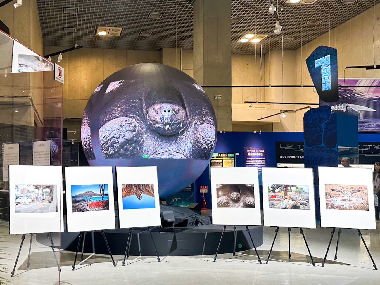 国立科学博物館「大絶滅展」会場