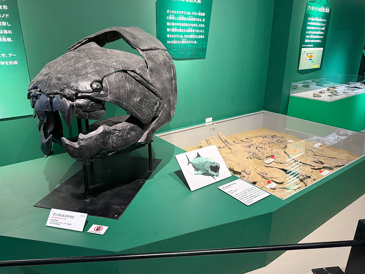 国立科学博物館「大絶滅展-生命史のビッグファイブ」会場より 第2章「F-F境界 陸上生態系の発展 約3億8,000万年前~約3億6,000万年前」