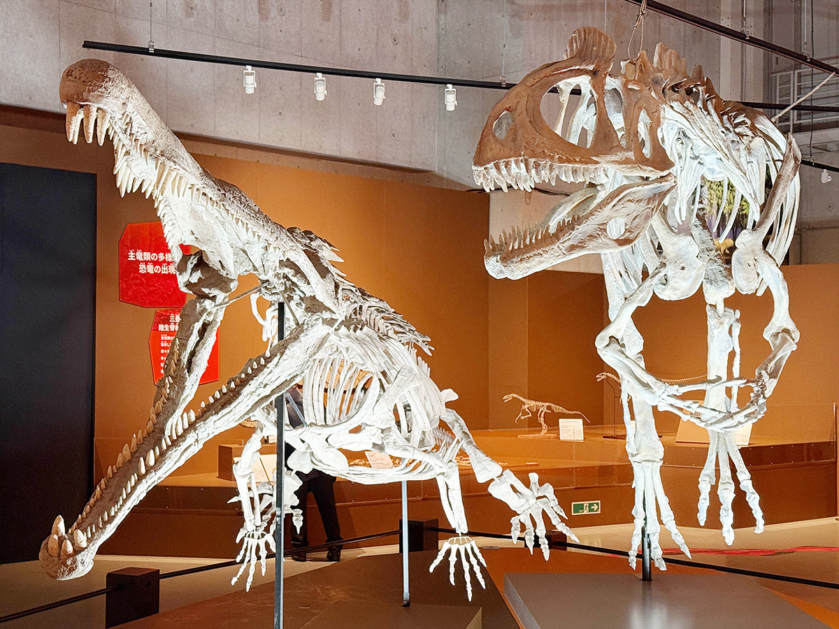 国立科学博物館「大絶滅展-生命史のビッグファイブ」会場より 第4章「T-J境界 恐竜の時代への大変革 約2億100万年前」