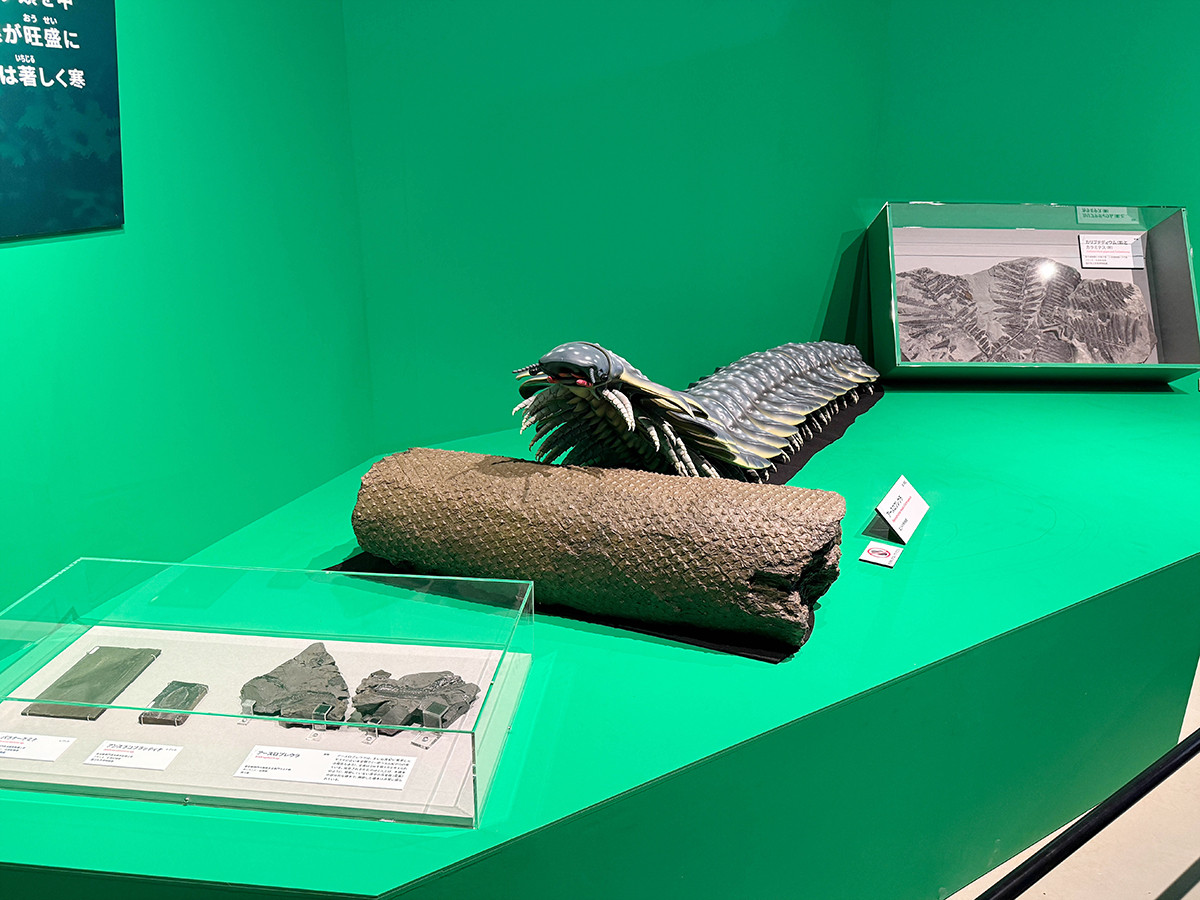 国立科学博物館「大絶滅展-生命史のビッグファイブ」会場より 第2章「F-F境界 陸上生態系の発展 約3億8,000万年前~約3億6,000万年前」