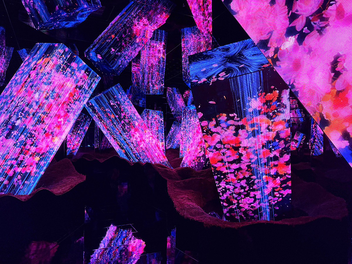 チームラボ バイオヴォルテックス 京都」会場より　開いた宇宙の永遠の存在の中のメガリス