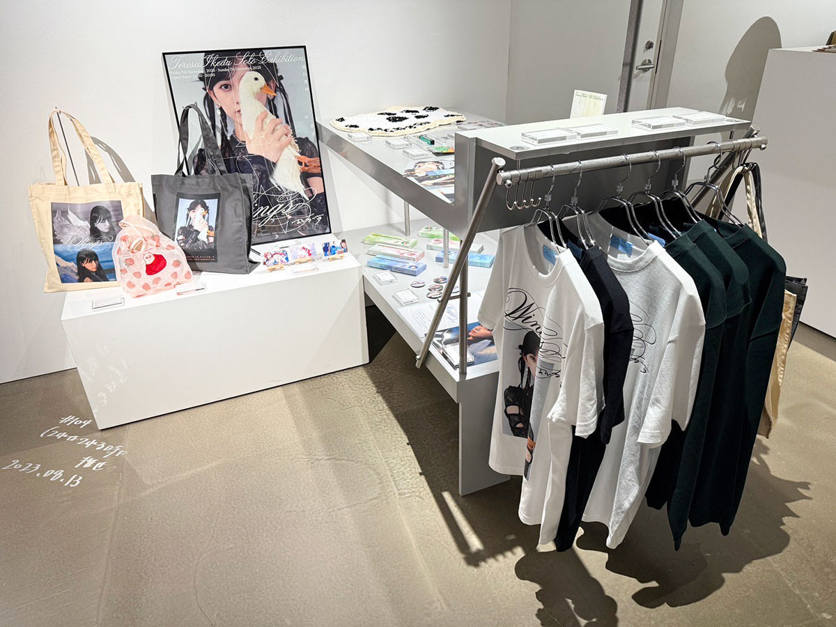 神保町・New Gallery「池田瑛紗 初個展『Wings:あひるの夢』」