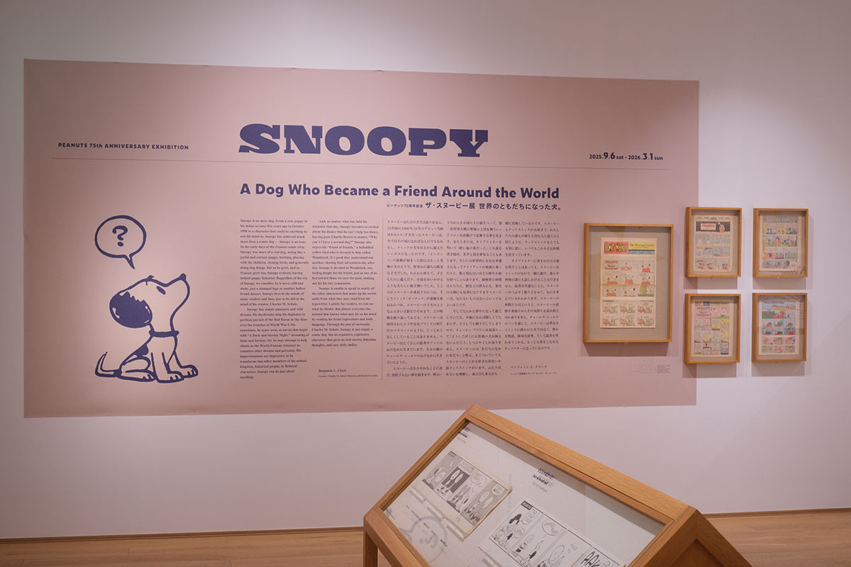 企画展 展示風景