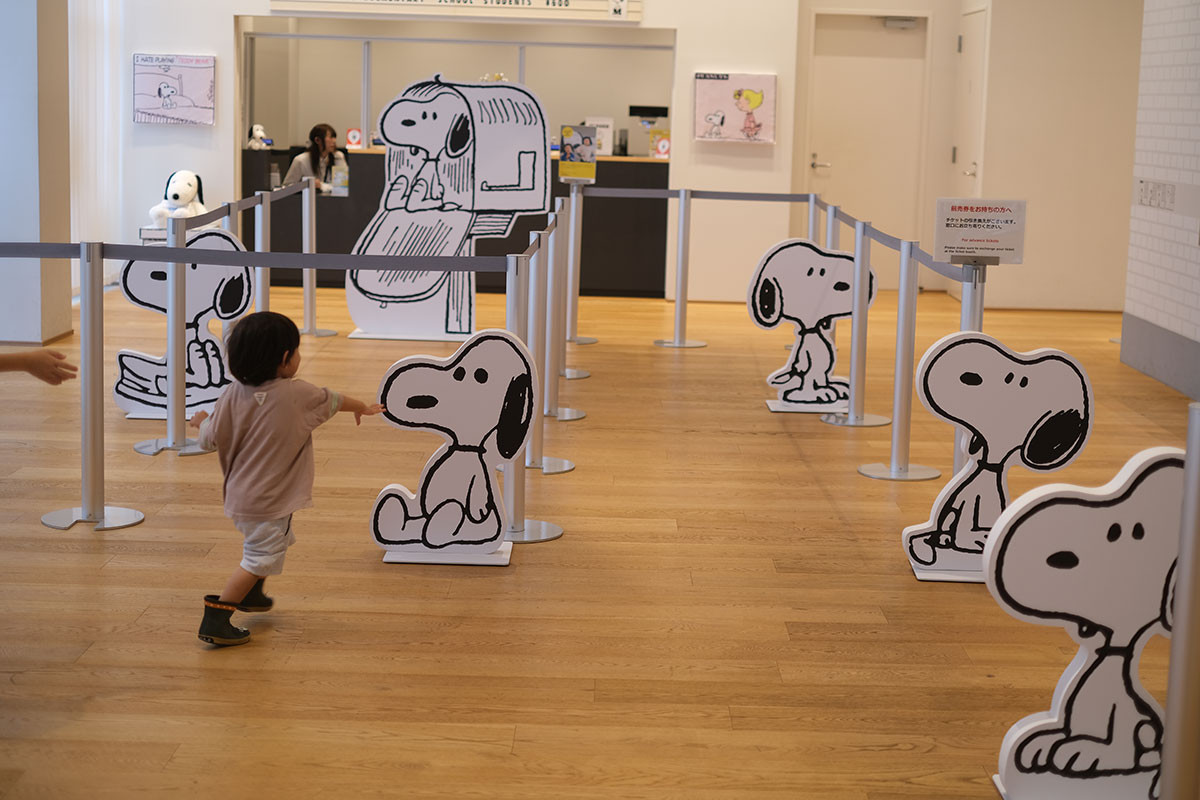 企画展 展示風景