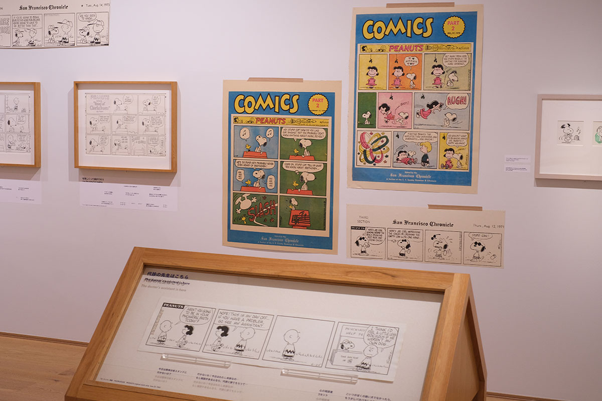 企画展 展示風景