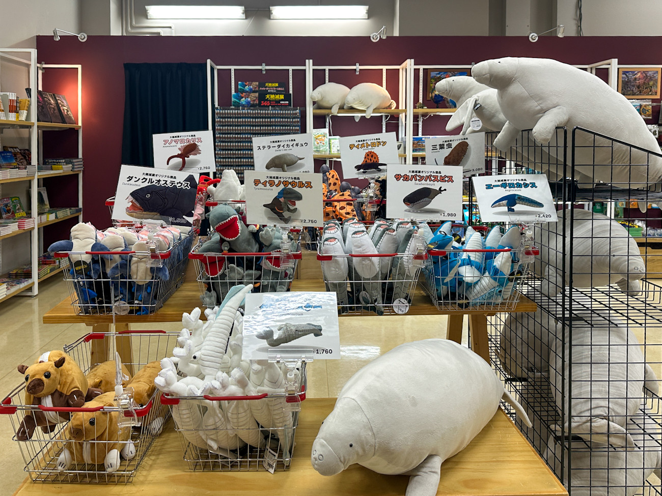 国立科学博物館 特別展「大絶滅展―生命史のビッグファイブ」