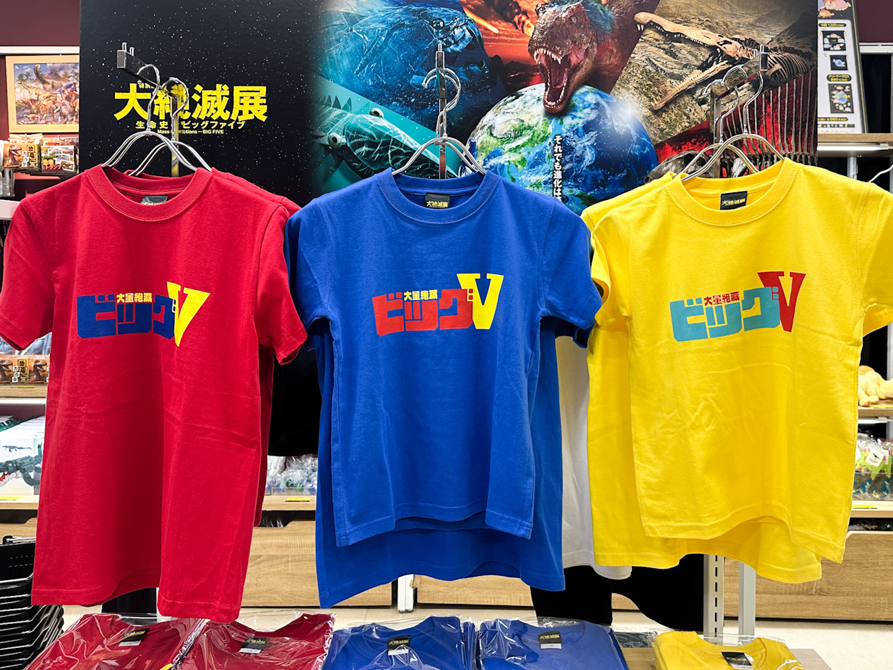 ビッグV Tシャツ