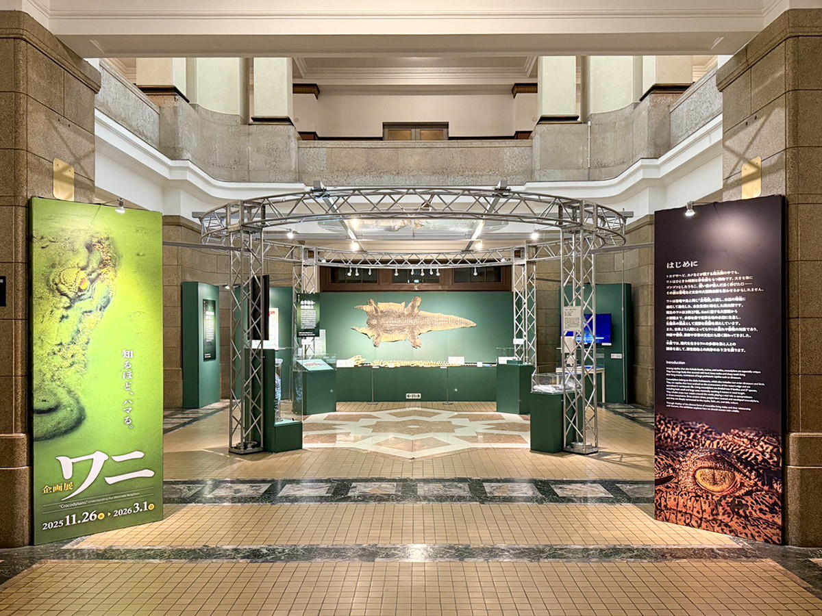 国立科学博物館　企画展「ワニ」会場