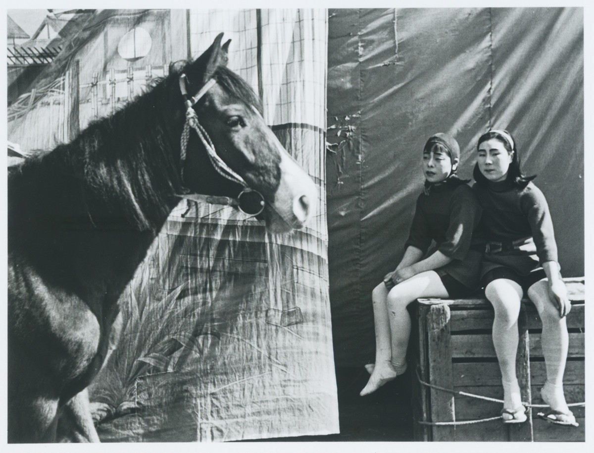 《『安井仲治ポートフォリオ』より　（山根曲馬団 馬と少女）》