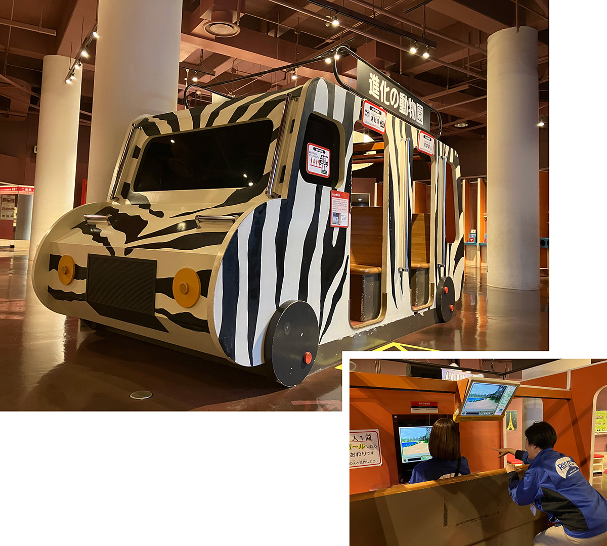 《進化の動物園》