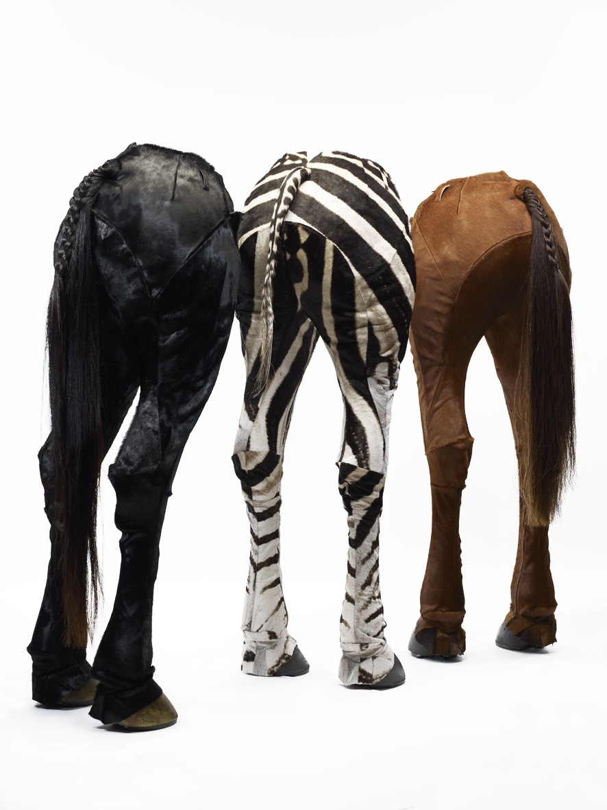 《ジョッパーズパンツ　恐れと狂気》