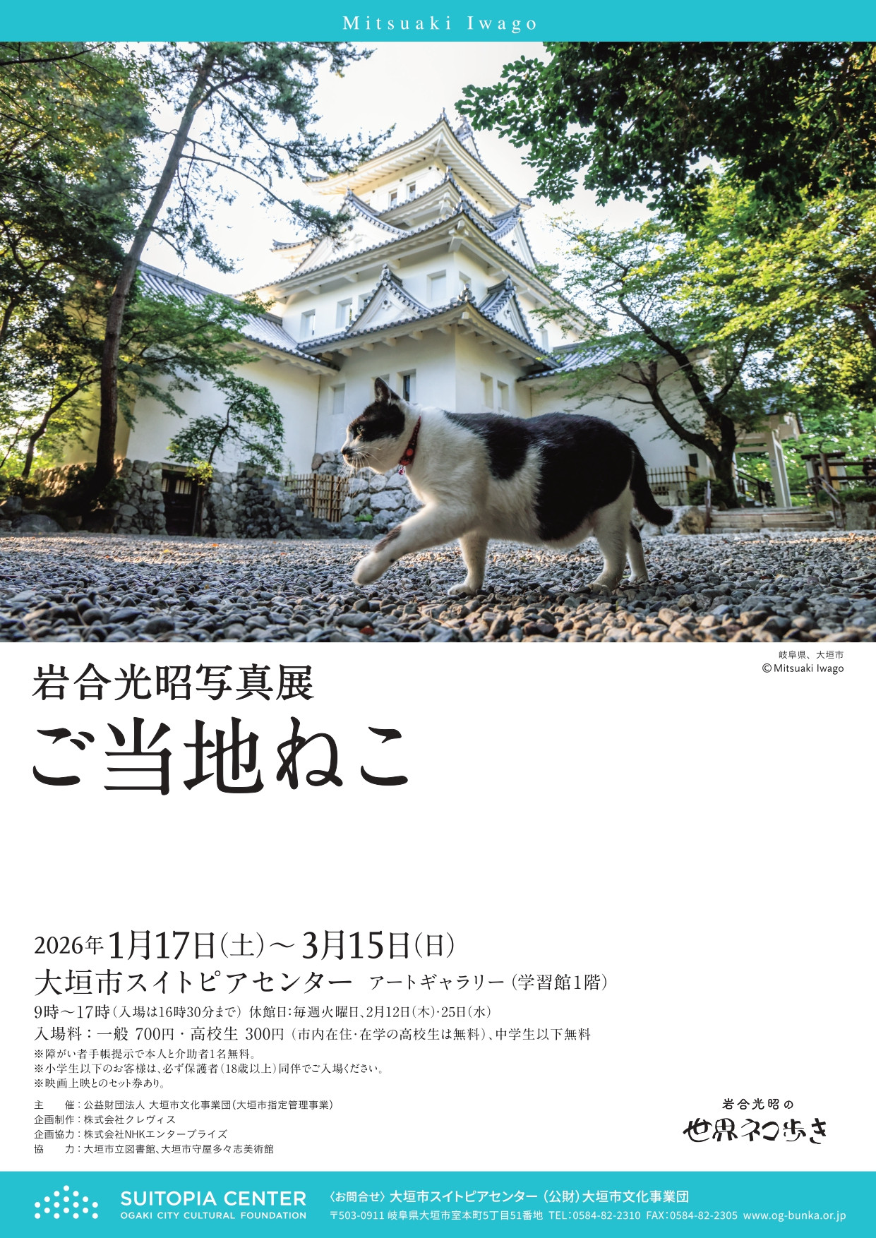 岩合光昭写真展　ご当地ねこ