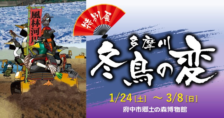 特別展「多摩川 冬鳥の変」