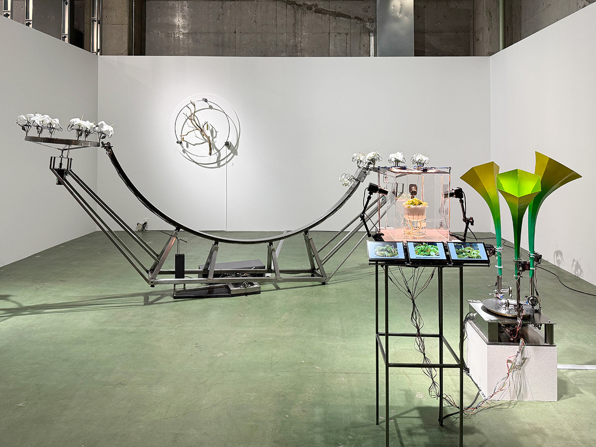 「TERRADA ART AWARD 2025 ファイナリスト展」会場　藤田クレア