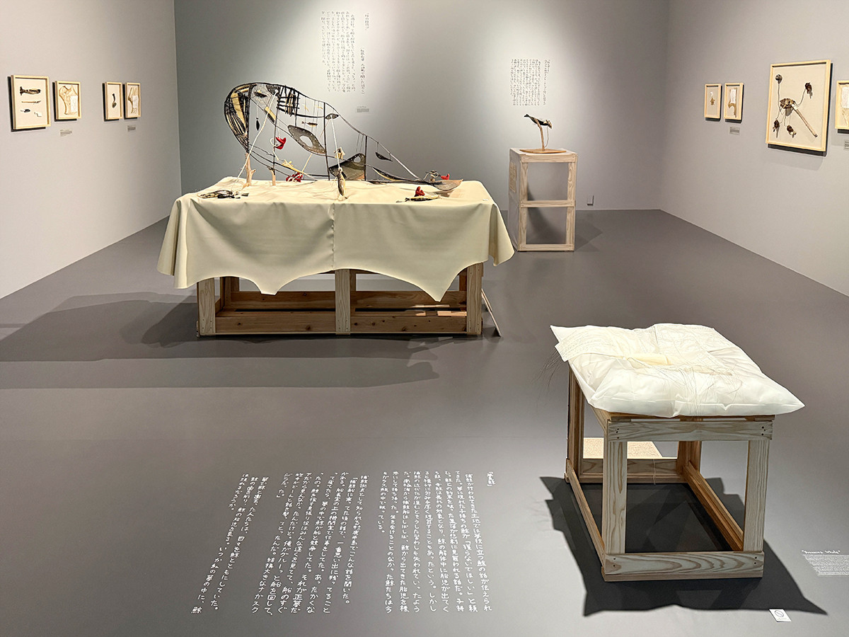 「TERRADA ART AWARD 2025 ファイナリスト展」会場　是恒さくら